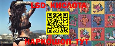 прущие грибы Балахна