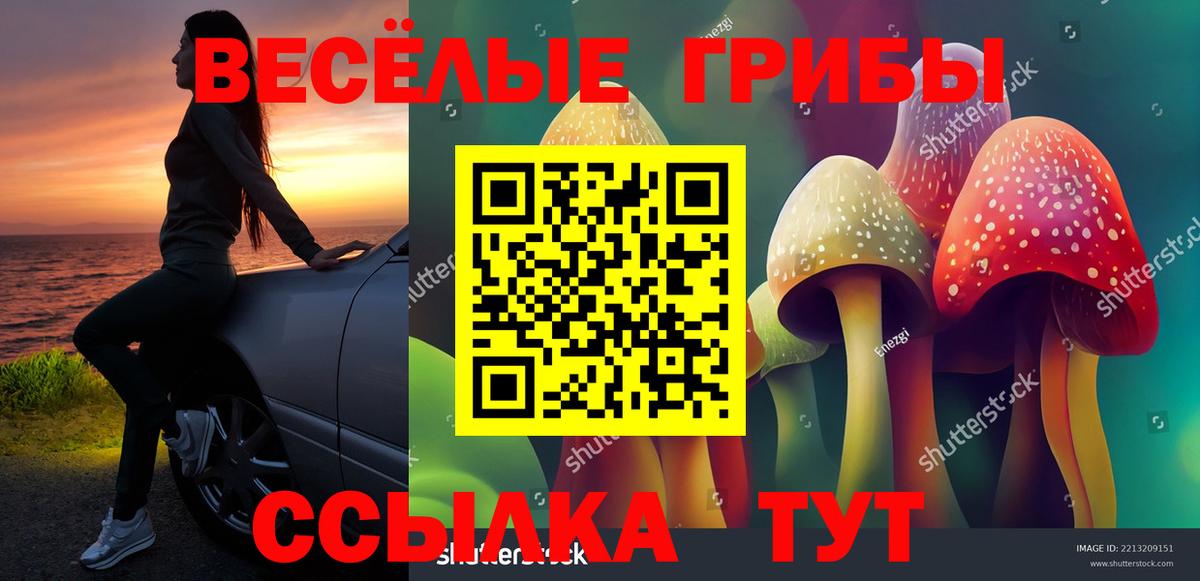 Галлюциногенные грибы GOLDEN TEACHER Джанкой